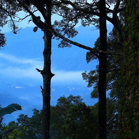 Madhumanthra Resort - Homestay Munnar Exterior photo