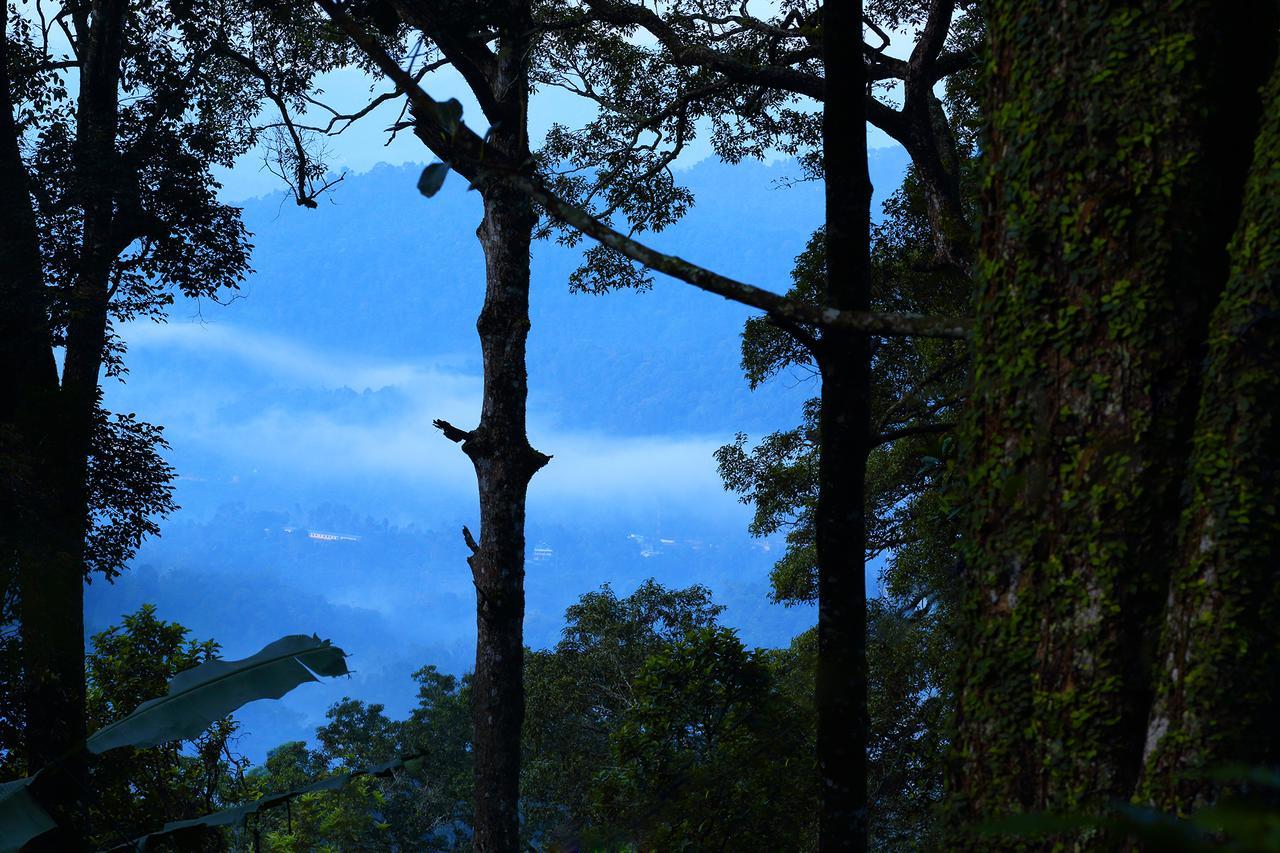 Madhumanthra Resort - Homestay Munnar Exterior photo