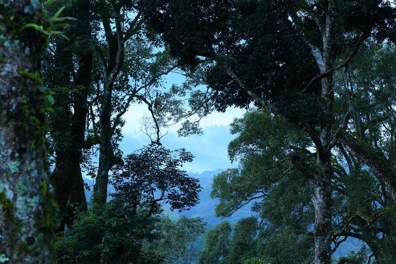 Madhumanthra Resort - Homestay Munnar Exterior photo