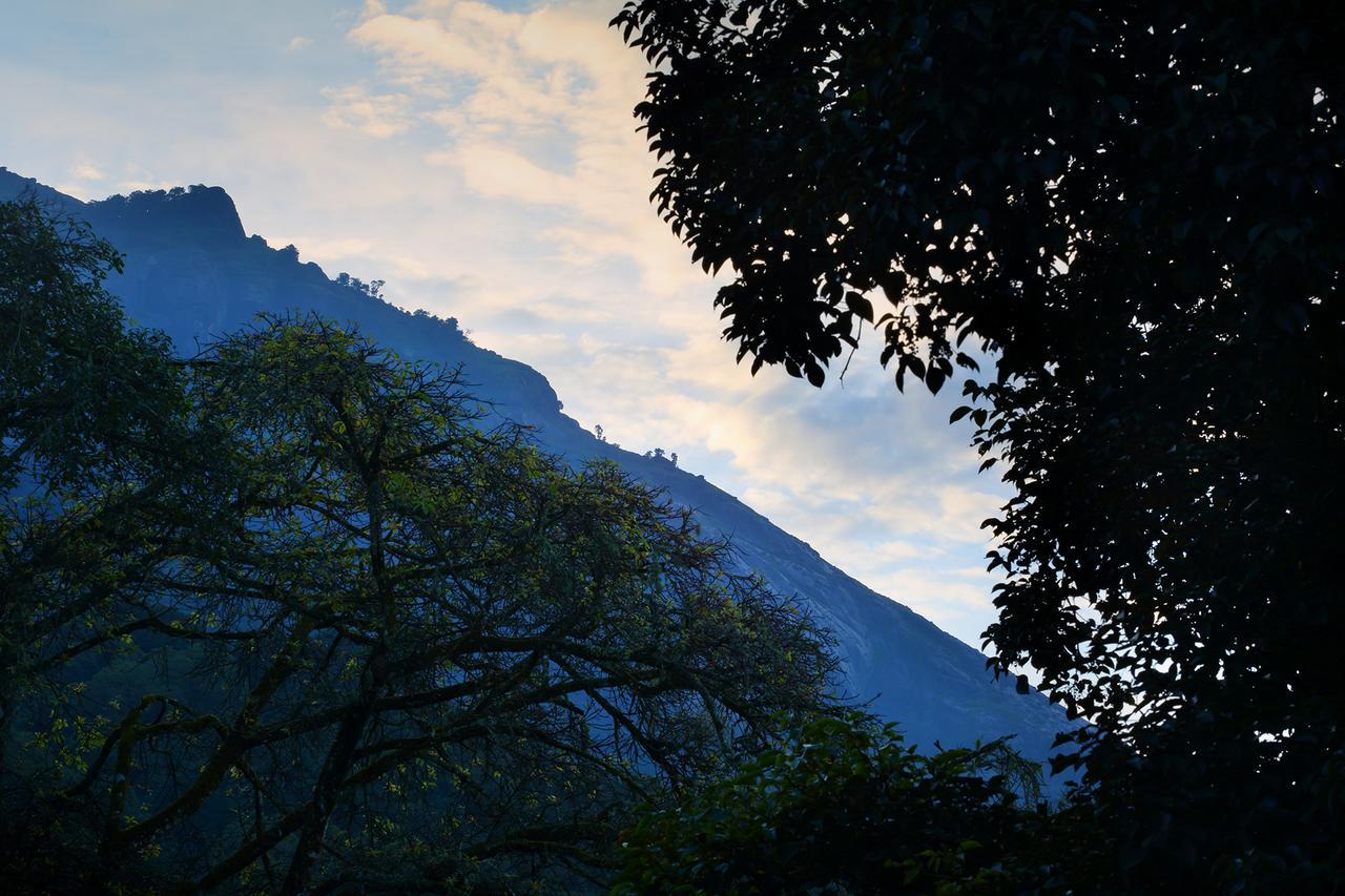 Madhumanthra Resort - Homestay Munnar Exterior photo