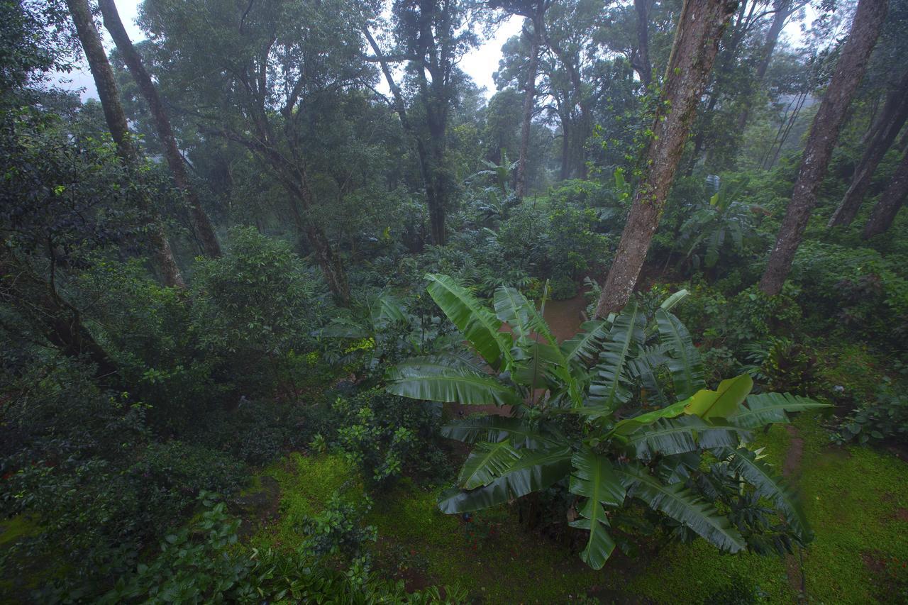 Madhumanthra Resort - Homestay Munnar Exterior photo